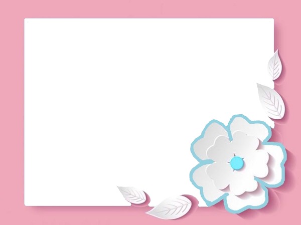 marco rosado y flor blanca. Fotomontage