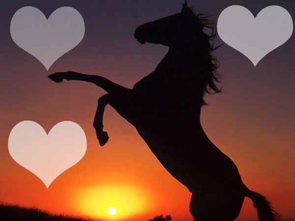 love cheval Fotomontaggio