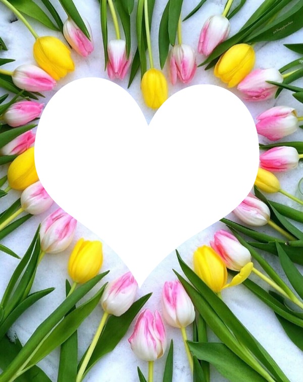 Corazon de Tulipanes Photo frame effect