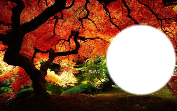 couleur d'automne Фотомонтаж
