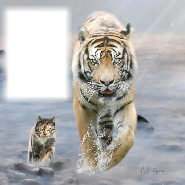 Tiger Fotómontázs