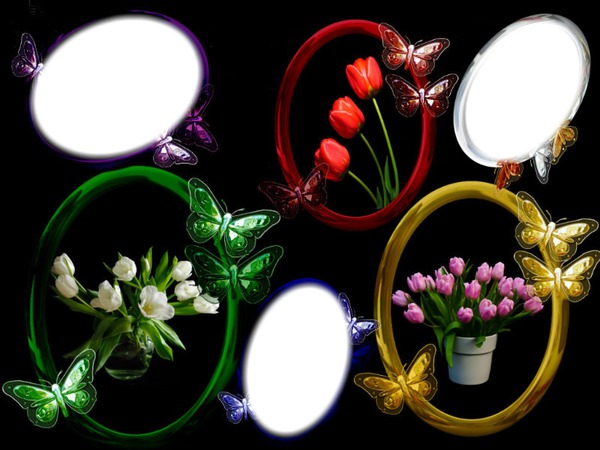 cadres tulipes Photomontage