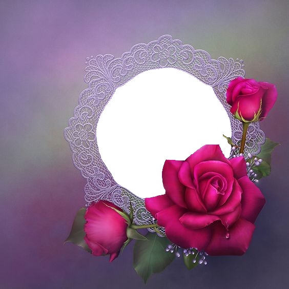marco y rosas fucsia. Fotomontage