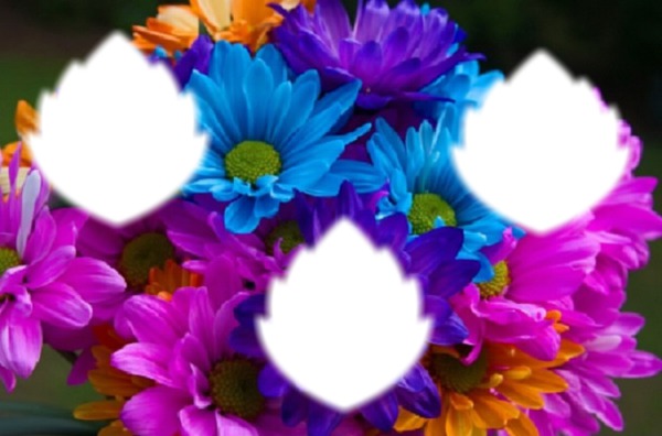 Fleurs multicolores Fotomontage