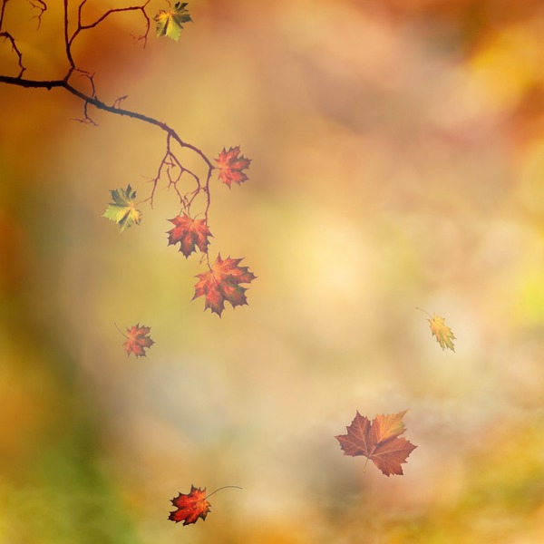 есен Photomontage