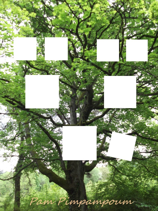 arbre genealogie Montaje fotografico