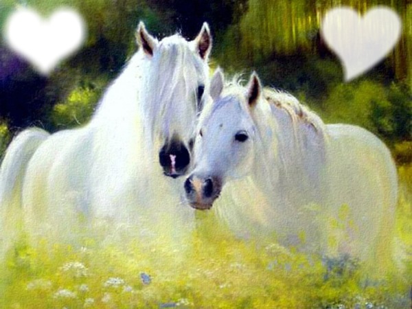chevaux Photo frame effect