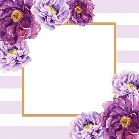 marco rayas y flores lila. Fotomontaż