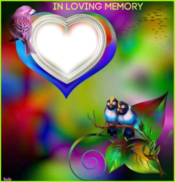 in loving memory Photo frame effect
