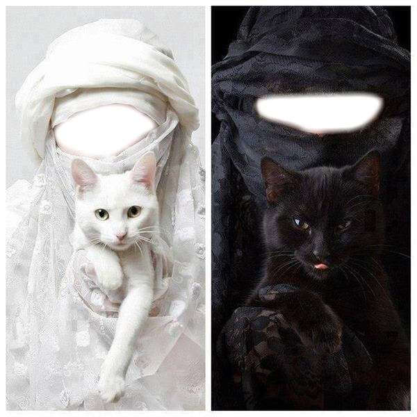 chat noir et blanc Фотомонтаж