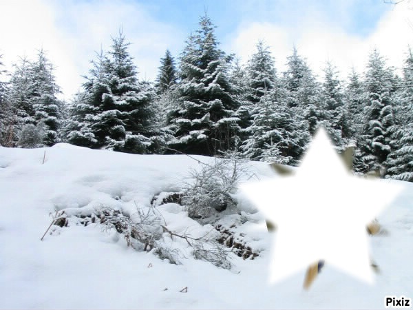 étoile de neige Фотомонтаж