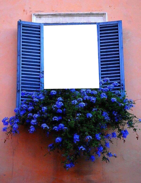 flower window Fotomontáž