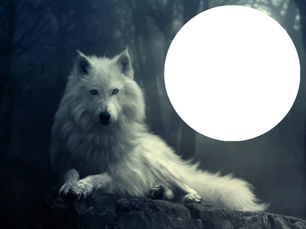 White Wolf Fotomontasje