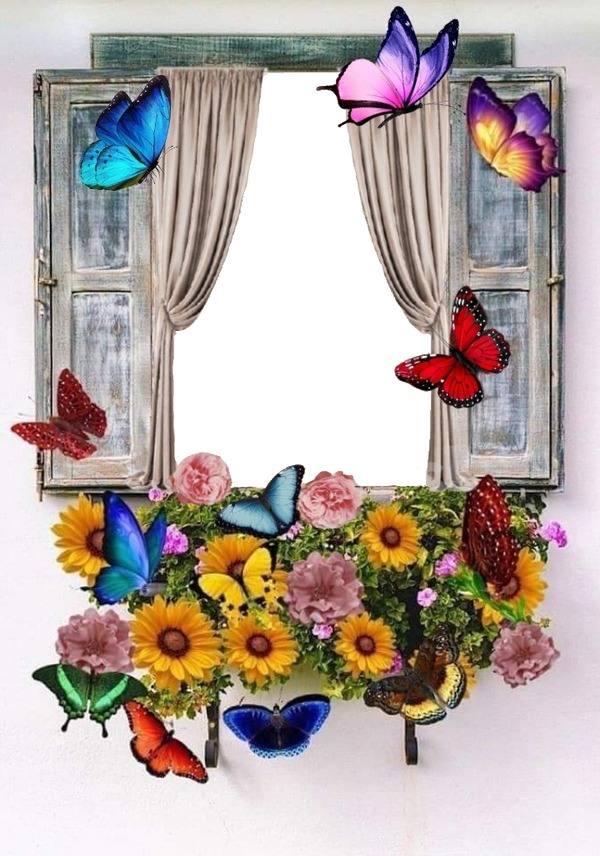 ventana, flores y mariposas. Fotomontažas