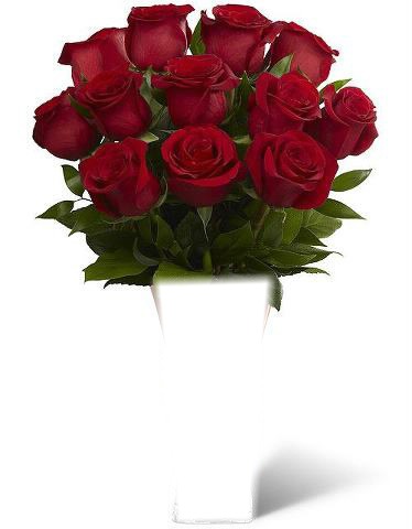 roses rouges Фотомонтажа