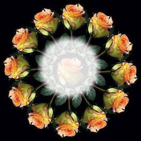 Roda de rosas Fotomontagem