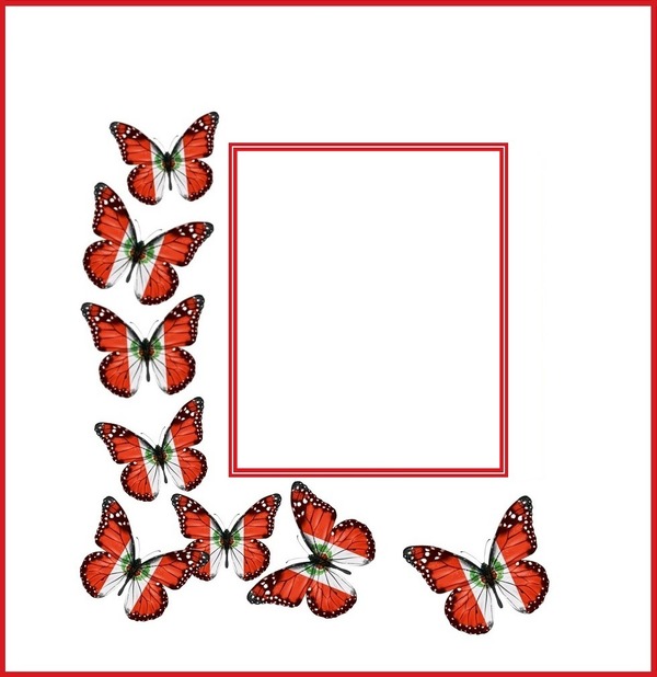 marco con mariposas de colores de la  bandera del Perú Montaje fotografico