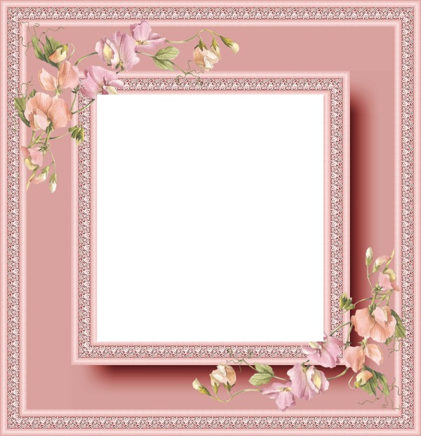 cadre rose fleurs Montaje fotografico