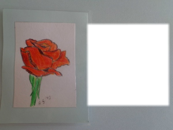 Une rose (dessin fait par Gino Gibilaro) Photo frame effect