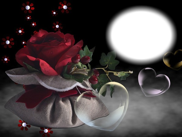Amour-rose rouge-coeurs Photo frame effect