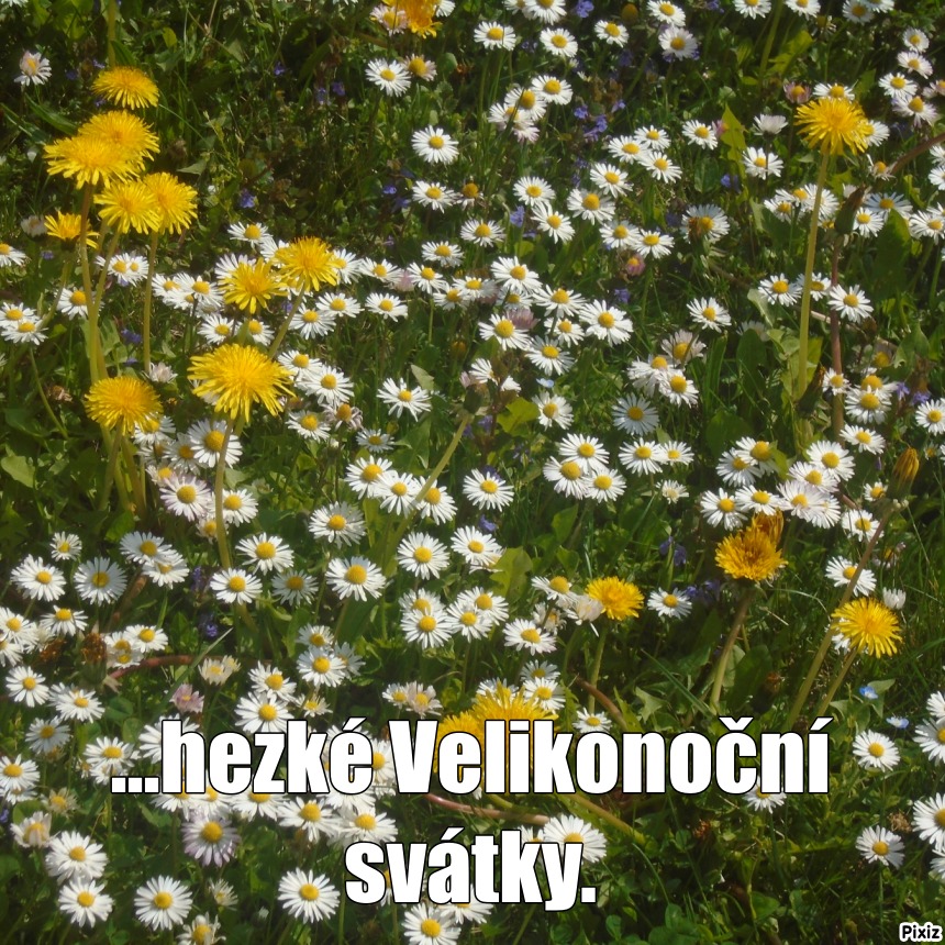 10e2a9df4ce30cd20fbbff28e11d22b1.jpg