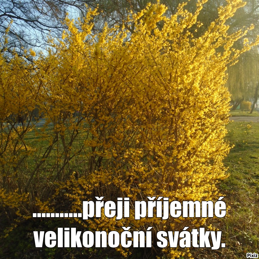 Meme panel s textem nahoře a dole