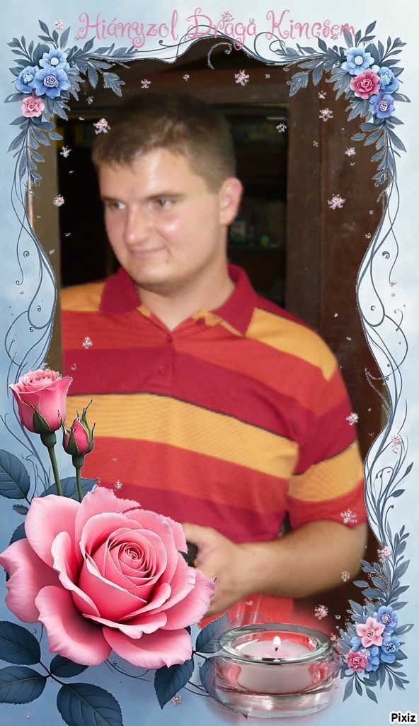 Rosas Mimosdececinha