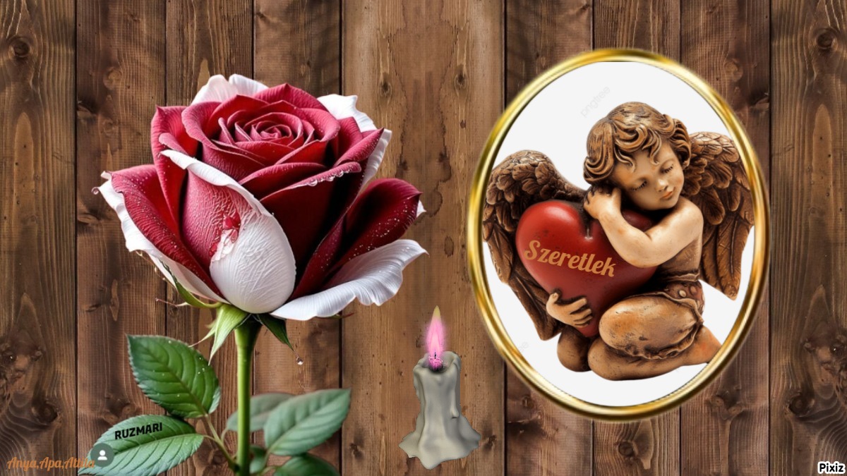 CUADROS CON FLORES